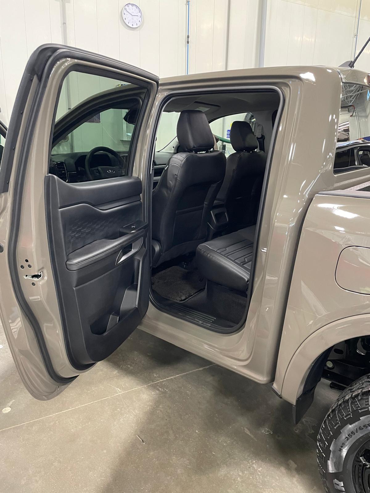 Pet Hair Removal mobile detailing service